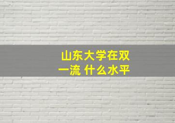 山东大学在双一流 什么水平